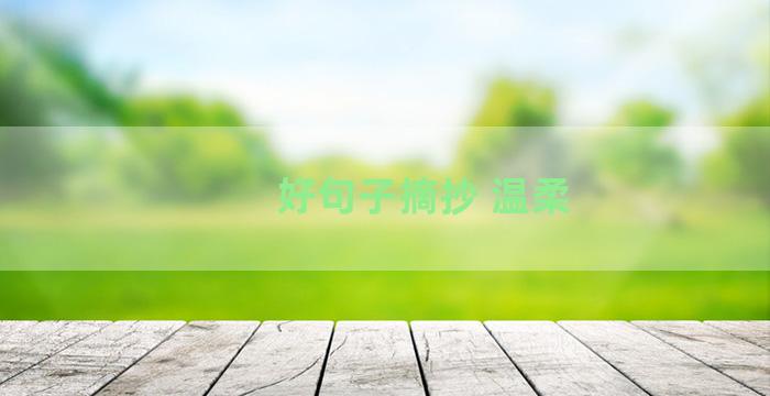 好句子摘抄 温柔